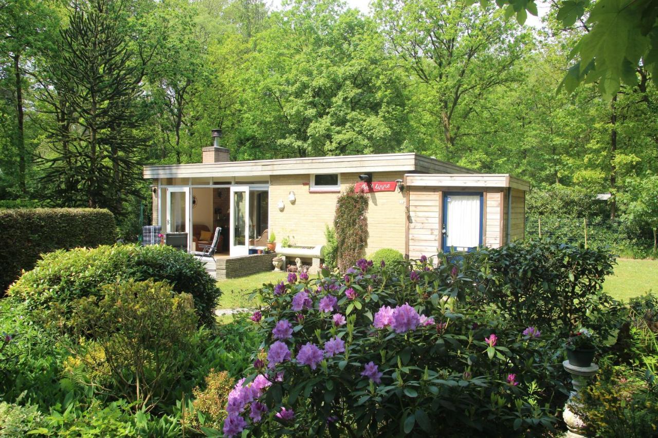 Valouwe 54 Apartman Appelscha Kültér fotó